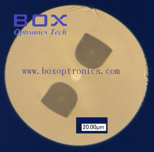 PM 10/125 Germanium dotierte Doppelfaser